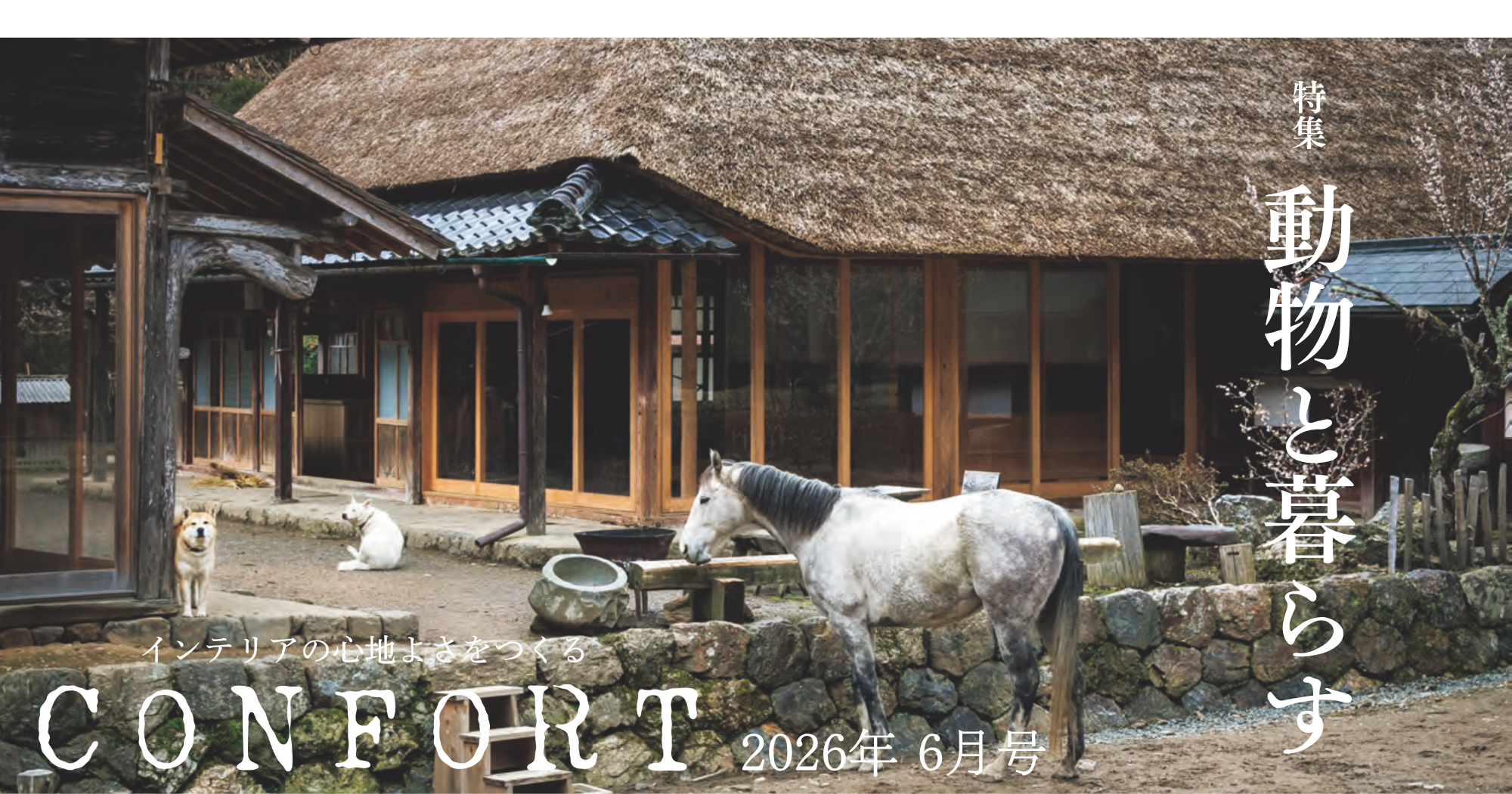 建築資料研究社 BOOKS & MAGAZINES